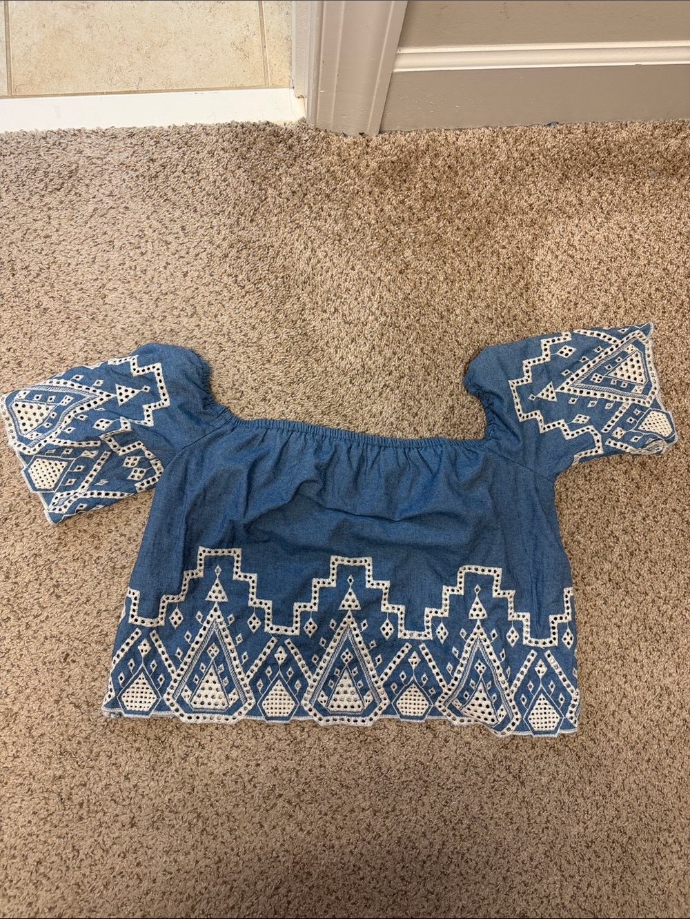 Francesca's Collections Blue Embroidered Off-Shoulder Crop Top